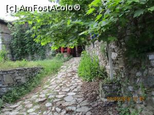 [P33]  -- <small>// FĂRĂ DESCRIERE</small> » foto by elviramvio
 - 
<span class="allrVoted glyphicon glyphicon-heart hidden" id="av807200"></span>
<a class="m-l-10 hidden" id="sv807200" onclick="voting_Foto_DelVot(,807200,3215)" role="button">șterge vot <span class="glyphicon glyphicon-remove"></span></a>
<a id="v9807200" class=" c-red"  onclick="voting_Foto_SetVot(807200)" role="button"><span class="glyphicon glyphicon-heart-empty"></span> <b>LIKE</b> = Votează poza</a> <img class="hidden"  id="f807200W9" src="/imagini/loader.gif" border="0" /><span class="AjErrMes hidden" id="e807200ErM"></span>