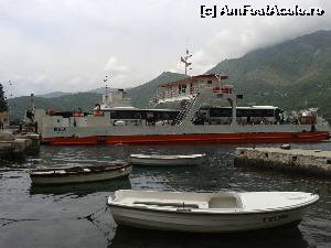 [P05] Ferry » foto by Nicu
 - 
<span class="allrVoted glyphicon glyphicon-heart hidden" id="av572642"></span>
<a class="m-l-10 hidden" id="sv572642" onclick="voting_Foto_DelVot(,572642,3229)" role="button">șterge vot <span class="glyphicon glyphicon-remove"></span></a>
<a id="v9572642" class=" c-red"  onclick="voting_Foto_SetVot(572642)" role="button"><span class="glyphicon glyphicon-heart-empty"></span> <b>LIKE</b> = Votează poza</a> <img class="hidden"  id="f572642W9" src="/imagini/loader.gif" border="0" /><span class="AjErrMes hidden" id="e572642ErM"></span>