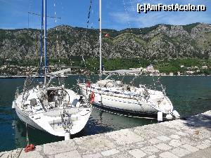 [P06] printre yacht-uri » foto by Marian Preda
 - 
<span class="allrVoted glyphicon glyphicon-heart hidden" id="av585170"></span>
<a class="m-l-10 hidden" id="sv585170" onclick="voting_Foto_DelVot(,585170,3229)" role="button">șterge vot <span class="glyphicon glyphicon-remove"></span></a>
<a id="v9585170" class=" c-red"  onclick="voting_Foto_SetVot(585170)" role="button"><span class="glyphicon glyphicon-heart-empty"></span> <b>LIKE</b> = Votează poza</a> <img class="hidden"  id="f585170W9" src="/imagini/loader.gif" border="0" /><span class="AjErrMes hidden" id="e585170ErM"></span>