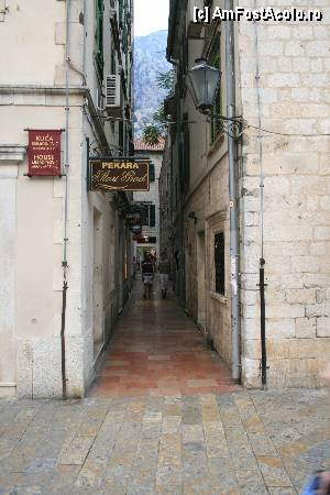 [P01] Ingusta strada!  » foto by gvaly
 - 
<span class="allrVoted glyphicon glyphicon-heart hidden" id="av369800"></span>
<a class="m-l-10 hidden" id="sv369800" onclick="voting_Foto_DelVot(,369800,3229)" role="button">șterge vot <span class="glyphicon glyphicon-remove"></span></a>
<a id="v9369800" class=" c-red"  onclick="voting_Foto_SetVot(369800)" role="button"><span class="glyphicon glyphicon-heart-empty"></span> <b>LIKE</b> = Votează poza</a> <img class="hidden"  id="f369800W9" src="/imagini/loader.gif" border="0" /><span class="AjErrMes hidden" id="e369800ErM"></span>