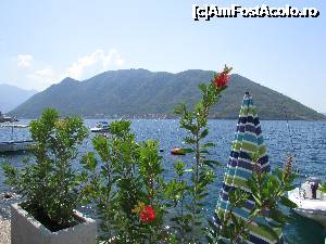 [P22] Vedere din Perast » foto by crismis
 - 
<span class="allrVoted glyphicon glyphicon-heart hidden" id="av702784"></span>
<a class="m-l-10 hidden" id="sv702784" onclick="voting_Foto_DelVot(,702784,3229)" role="button">șterge vot <span class="glyphicon glyphicon-remove"></span></a>
<a id="v9702784" class=" c-red"  onclick="voting_Foto_SetVot(702784)" role="button"><span class="glyphicon glyphicon-heart-empty"></span> <b>LIKE</b> = Votează poza</a> <img class="hidden"  id="f702784W9" src="/imagini/loader.gif" border="0" /><span class="AjErrMes hidden" id="e702784ErM"></span>