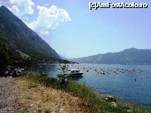 [P32] Între Perast şi Kotor » foto by crismis
 - 
<span class="allrVoted glyphicon glyphicon-heart hidden" id="av702799"></span>
<a class="m-l-10 hidden" id="sv702799" onclick="voting_Foto_DelVot(,702799,3229)" role="button">șterge vot <span class="glyphicon glyphicon-remove"></span></a>
<a id="v9702799" class=" c-red"  onclick="voting_Foto_SetVot(702799)" role="button"><span class="glyphicon glyphicon-heart-empty"></span> <b>LIKE</b> = Votează poza</a> <img class="hidden"  id="f702799W9" src="/imagini/loader.gif" border="0" /><span class="AjErrMes hidden" id="e702799ErM"></span>