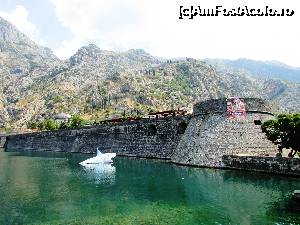 [P33] Zidurile Oraşului Vechi Kotor » foto by crismis
 - 
<span class="allrVoted glyphicon glyphicon-heart hidden" id="av702800"></span>
<a class="m-l-10 hidden" id="sv702800" onclick="voting_Foto_DelVot(,702800,3229)" role="button">șterge vot <span class="glyphicon glyphicon-remove"></span></a>
<a id="v9702800" class=" c-red"  onclick="voting_Foto_SetVot(702800)" role="button"><span class="glyphicon glyphicon-heart-empty"></span> <b>LIKE</b> = Votează poza</a> <img class="hidden"  id="f702800W9" src="/imagini/loader.gif" border="0" /><span class="AjErrMes hidden" id="e702800ErM"></span>