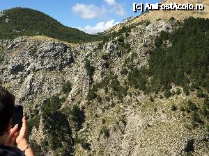 [P13] Rusoaica asta a urlat cat au tinut-o plamanii cat a coborat pe tiroliana.  » foto by Aurici
 - 
<span class="allrVoted glyphicon glyphicon-heart hidden" id="av684995"></span>
<a class="m-l-10 hidden" id="sv684995" onclick="voting_Foto_DelVot(,684995,3229)" role="button">șterge vot <span class="glyphicon glyphicon-remove"></span></a>
<a id="v9684995" class=" c-red"  onclick="voting_Foto_SetVot(684995)" role="button"><span class="glyphicon glyphicon-heart-empty"></span> <b>LIKE</b> = Votează poza</a> <img class="hidden"  id="f684995W9" src="/imagini/loader.gif" border="0" /><span class="AjErrMes hidden" id="e684995ErM"></span>