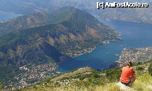 [P16] Cum sa faci sa ramai acolo?  » foto by Aurici
 - 
<span class="allrVoted glyphicon glyphicon-heart hidden" id="av684998"></span>
<a class="m-l-10 hidden" id="sv684998" onclick="voting_Foto_DelVot(,684998,3229)" role="button">șterge vot <span class="glyphicon glyphicon-remove"></span></a>
<a id="v9684998" class=" c-red"  onclick="voting_Foto_SetVot(684998)" role="button"><span class="glyphicon glyphicon-heart-empty"></span> <b>LIKE</b> = Votează poza</a> <img class="hidden"  id="f684998W9" src="/imagini/loader.gif" border="0" /><span class="AjErrMes hidden" id="e684998ErM"></span>