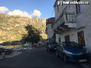 [P28] Prin Prcanj » foto by Aurici
 - 
<span class="allrVoted glyphicon glyphicon-heart hidden" id="av685010"></span>
<a class="m-l-10 hidden" id="sv685010" onclick="voting_Foto_DelVot(,685010,3229)" role="button">șterge vot <span class="glyphicon glyphicon-remove"></span></a>
<a id="v9685010" class=" c-red"  onclick="voting_Foto_SetVot(685010)" role="button"><span class="glyphicon glyphicon-heart-empty"></span> <b>LIKE</b> = Votează poza</a> <img class="hidden"  id="f685010W9" src="/imagini/loader.gif" border="0" /><span class="AjErrMes hidden" id="e685010ErM"></span>