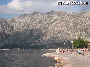 [P38] Faleza in Prcanj » foto by Aurici
 - 
<span class="allrVoted glyphicon glyphicon-heart hidden" id="av685020"></span>
<a class="m-l-10 hidden" id="sv685020" onclick="voting_Foto_DelVot(,685020,3229)" role="button">șterge vot <span class="glyphicon glyphicon-remove"></span></a>
<a id="v9685020" class=" c-red"  onclick="voting_Foto_SetVot(685020)" role="button"><span class="glyphicon glyphicon-heart-empty"></span> <b>LIKE</b> = Votează poza</a> <img class="hidden"  id="f685020W9" src="/imagini/loader.gif" border="0" /><span class="AjErrMes hidden" id="e685020ErM"></span>