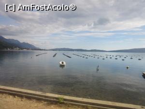 [P16] Crescătorie de midii şi stridii » foto by Michi
 - 
<span class="allrVoted glyphicon glyphicon-heart hidden" id="av794494"></span>
<a class="m-l-10 hidden" id="sv794494" onclick="voting_Foto_DelVot(,794494,3229)" role="button">șterge vot <span class="glyphicon glyphicon-remove"></span></a>
<a id="v9794494" class=" c-red"  onclick="voting_Foto_SetVot(794494)" role="button"><span class="glyphicon glyphicon-heart-empty"></span> <b>LIKE</b> = Votează poza</a> <img class="hidden"  id="f794494W9" src="/imagini/loader.gif" border="0" /><span class="AjErrMes hidden" id="e794494ErM"></span>