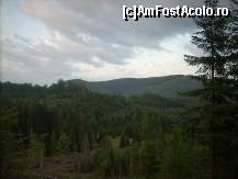 [P03] Izvoare,o privire din padure » foto by Andree
 - 
<span class="allrVoted glyphicon glyphicon-heart hidden" id="av109816"></span>
<a class="m-l-10 hidden" id="sv109816" onclick="voting_Foto_DelVot(,109816,3234)" role="button">șterge vot <span class="glyphicon glyphicon-remove"></span></a>
<a id="v9109816" class=" c-red"  onclick="voting_Foto_SetVot(109816)" role="button"><span class="glyphicon glyphicon-heart-empty"></span> <b>LIKE</b> = Votează poza</a> <img class="hidden"  id="f109816W9" src="/imagini/loader.gif" border="0" /><span class="AjErrMes hidden" id="e109816ErM"></span>