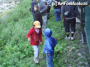 [P21] mepotelul nostru a avut companie » foto by marocanu21
 - 
<span class="allrVoted glyphicon glyphicon-heart hidden" id="av395579"></span>
<a class="m-l-10 hidden" id="sv395579" onclick="voting_Foto_DelVot(,395579,3234)" role="button">șterge vot <span class="glyphicon glyphicon-remove"></span></a>
<a id="v9395579" class=" c-red"  onclick="voting_Foto_SetVot(395579)" role="button"><span class="glyphicon glyphicon-heart-empty"></span> <b>LIKE</b> = Votează poza</a> <img class="hidden"  id="f395579W9" src="/imagini/loader.gif" border="0" /><span class="AjErrMes hidden" id="e395579ErM"></span>