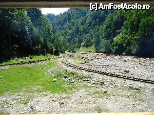 [P22] bifurcatia de la Delta-Novat » foto by marocanu21
 - 
<span class="allrVoted glyphicon glyphicon-heart hidden" id="av395580"></span>
<a class="m-l-10 hidden" id="sv395580" onclick="voting_Foto_DelVot(,395580,3234)" role="button">șterge vot <span class="glyphicon glyphicon-remove"></span></a>
<a id="v9395580" class=" c-red"  onclick="voting_Foto_SetVot(395580)" role="button"><span class="glyphicon glyphicon-heart-empty"></span> <b>LIKE</b> = Votează poza</a> <img class="hidden"  id="f395580W9" src="/imagini/loader.gif" border="0" /><span class="AjErrMes hidden" id="e395580ErM"></span>