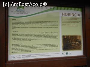 [P26] Sârbi - Ansamblul de arhitectură tehnică populară. Informații - Horincia. » foto by iulianic
 - 
<span class="allrVoted glyphicon glyphicon-heart hidden" id="av1337622"></span>
<a class="m-l-10 hidden" id="sv1337622" onclick="voting_Foto_DelVot(,1337622,3234)" role="button">șterge vot <span class="glyphicon glyphicon-remove"></span></a>
<a id="v91337622" class=" c-red"  onclick="voting_Foto_SetVot(1337622)" role="button"><span class="glyphicon glyphicon-heart-empty"></span> <b>LIKE</b> = Votează poza</a> <img class="hidden"  id="f1337622W9" src="/imagini/loader.gif" border="0" /><span class="AjErrMes hidden" id="e1337622ErM"></span>