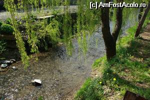 [P45] Râul Botiza, prin centrul comunei » foto by le_maitre
 - 
<span class="allrVoted glyphicon glyphicon-heart hidden" id="av507594"></span>
<a class="m-l-10 hidden" id="sv507594" onclick="voting_Foto_DelVot(,507594,3234)" role="button">șterge vot <span class="glyphicon glyphicon-remove"></span></a>
<a id="v9507594" class=" c-red"  onclick="voting_Foto_SetVot(507594)" role="button"><span class="glyphicon glyphicon-heart-empty"></span> <b>LIKE</b> = Votează poza</a> <img class="hidden"  id="f507594W9" src="/imagini/loader.gif" border="0" /><span class="AjErrMes hidden" id="e507594ErM"></span>