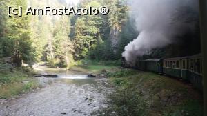 [P11] Mocănița pe Valea Vaserului » foto by costy69*
 - 
<span class="allrVoted glyphicon glyphicon-heart hidden" id="av795548"></span>
<a class="m-l-10 hidden" id="sv795548" onclick="voting_Foto_DelVot(,795548,3234)" role="button">șterge vot <span class="glyphicon glyphicon-remove"></span></a>
<a id="v9795548" class=" c-red"  onclick="voting_Foto_SetVot(795548)" role="button"><span class="glyphicon glyphicon-heart-empty"></span> <b>LIKE</b> = Votează poza</a> <img class="hidden"  id="f795548W9" src="/imagini/loader.gif" border="0" /><span class="AjErrMes hidden" id="e795548ErM"></span>