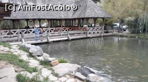 [P08] Lacul cu pastravi » foto by Oana07
 - 
<span class="allrVoted glyphicon glyphicon-heart hidden" id="av1115167"></span>
<a class="m-l-10 hidden" id="sv1115167" onclick="voting_Foto_DelVot(,1115167,3234)" role="button">șterge vot <span class="glyphicon glyphicon-remove"></span></a>
<a id="v91115167" class=" c-red"  onclick="voting_Foto_SetVot(1115167)" role="button"><span class="glyphicon glyphicon-heart-empty"></span> <b>LIKE</b> = Votează poza</a> <img class="hidden"  id="f1115167W9" src="/imagini/loader.gif" border="0" /><span class="AjErrMes hidden" id="e1115167ErM"></span>