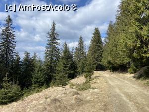 [P38] În pădure » foto by nicole33
 - 
<span class="allrVoted glyphicon glyphicon-heart hidden" id="av1420172"></span>
<a class="m-l-10 hidden" id="sv1420172" onclick="voting_Foto_DelVot(,1420172,3253)" role="button">șterge vot <span class="glyphicon glyphicon-remove"></span></a>
<a id="v91420172" class=" c-red"  onclick="voting_Foto_SetVot(1420172)" role="button"><span class="glyphicon glyphicon-heart-empty"></span> <b>LIKE</b> = Votează poza</a> <img class="hidden"  id="f1420172W9" src="/imagini/loader.gif" border="0" /><span class="AjErrMes hidden" id="e1420172ErM"></span>