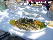 [P05] Platou cu peste la o terasa din Pefkari - Thasos » foto by magdalena
 - 
<span class="allrVoted glyphicon glyphicon-heart hidden" id="av48633"></span>
<a class="m-l-10 hidden" id="sv48633" onclick="voting_Foto_DelVot(,48633,3273)" role="button">șterge vot <span class="glyphicon glyphicon-remove"></span></a>
<a id="v948633" class=" c-red"  onclick="voting_Foto_SetVot(48633)" role="button"><span class="glyphicon glyphicon-heart-empty"></span> <b>LIKE</b> = Votează poza</a> <img class="hidden"  id="f48633W9" src="/imagini/loader.gif" border="0" /><span class="AjErrMes hidden" id="e48633ErM"></span>