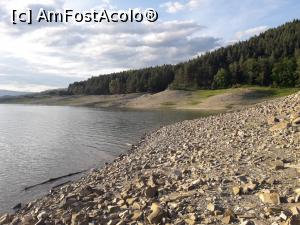 [P45] Cand nu ploua, asa arata malul, apa este foarte scăzută, altfel ar fi la baza copacilor. Anul 2000, foarte secetos. Ce se vede ca si mal, e de fapt adancul lacului. » foto by raluca banu
 - 
<span class="allrVoted glyphicon glyphicon-heart hidden" id="av1230969"></span>
<a class="m-l-10 hidden" id="sv1230969" onclick="voting_Foto_DelVot(,1230969,3303)" role="button">șterge vot <span class="glyphicon glyphicon-remove"></span></a>
<a id="v91230969" class=" c-red"  onclick="voting_Foto_SetVot(1230969)" role="button"><span class="glyphicon glyphicon-heart-empty"></span> <b>LIKE</b> = Votează poza</a> <img class="hidden"  id="f1230969W9" src="/imagini/loader.gif" border="0" /><span class="AjErrMes hidden" id="e1230969ErM"></span>