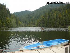[P12] Poftiţi la o plimbare cu barca pe lacul Roşu » foto by Claudiu U.
 - 
<span class="allrVoted glyphicon glyphicon-heart hidden" id="av558635"></span>
<a class="m-l-10 hidden" id="sv558635" onclick="voting_Foto_DelVot(,558635,3314)" role="button">șterge vot <span class="glyphicon glyphicon-remove"></span></a>
<a id="v9558635" class=" c-red"  onclick="voting_Foto_SetVot(558635)" role="button"><span class="glyphicon glyphicon-heart-empty"></span> <b>LIKE</b> = Votează poza</a> <img class="hidden"  id="f558635W9" src="/imagini/loader.gif" border="0" /><span class="AjErrMes hidden" id="e558635ErM"></span>