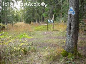 [P17] Şaua unde se coteşte la dreapta » foto by Claudiu U.
 - 
<span class="allrVoted glyphicon glyphicon-heart hidden" id="av706940"></span>
<a class="m-l-10 hidden" id="sv706940" onclick="voting_Foto_DelVot(,706940,3314)" role="button">șterge vot <span class="glyphicon glyphicon-remove"></span></a>
<a id="v9706940" class=" c-red"  onclick="voting_Foto_SetVot(706940)" role="button"><span class="glyphicon glyphicon-heart-empty"></span> <b>LIKE</b> = Votează poza</a> <img class="hidden"  id="f706940W9" src="/imagini/loader.gif" border="0" /><span class="AjErrMes hidden" id="e706940ErM"></span>