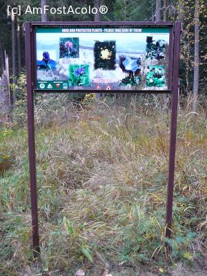 [P18] Unul dintre panourile amplasate pe traseul către vârf » foto by Claudiu U.
 - 
<span class="allrVoted glyphicon glyphicon-heart hidden" id="av706941"></span>
<a class="m-l-10 hidden" id="sv706941" onclick="voting_Foto_DelVot(,706941,3314)" role="button">șterge vot <span class="glyphicon glyphicon-remove"></span></a>
<a id="v9706941" class=" c-red"  onclick="voting_Foto_SetVot(706941)" role="button"><span class="glyphicon glyphicon-heart-empty"></span> <b>LIKE</b> = Votează poza</a> <img class="hidden"  id="f706941W9" src="/imagini/loader.gif" border="0" /><span class="AjErrMes hidden" id="e706941ErM"></span>