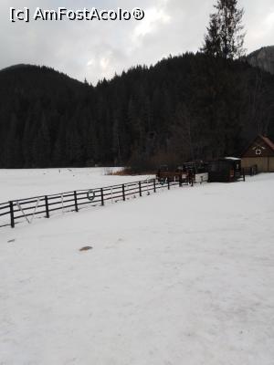 [P02] Acuși intram pe lac » foto by MarinaCo
 - 
<span class="allrVoted glyphicon glyphicon-heart hidden" id="av1278776"></span>
<a class="m-l-10 hidden" id="sv1278776" onclick="voting_Foto_DelVot(,1278776,3314)" role="button">șterge vot <span class="glyphicon glyphicon-remove"></span></a>
<a id="v91278776" class=" c-red"  onclick="voting_Foto_SetVot(1278776)" role="button"><span class="glyphicon glyphicon-heart-empty"></span> <b>LIKE</b> = Votează poza</a> <img class="hidden"  id="f1278776W9" src="/imagini/loader.gif" border="0" /><span class="AjErrMes hidden" id="e1278776ErM"></span>