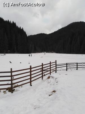 [P03] Oameni la plimbare printre trunchiurile din lacul înghețat » foto by MarinaCo
 - 
<span class="allrVoted glyphicon glyphicon-heart hidden" id="av1278777"></span>
<a class="m-l-10 hidden" id="sv1278777" onclick="voting_Foto_DelVot(,1278777,3314)" role="button">șterge vot <span class="glyphicon glyphicon-remove"></span></a>
<a id="v91278777" class=" c-red"  onclick="voting_Foto_SetVot(1278777)" role="button"><span class="glyphicon glyphicon-heart-empty"></span> <b>LIKE</b> = Votează poza</a> <img class="hidden"  id="f1278777W9" src="/imagini/loader.gif" border="0" /><span class="AjErrMes hidden" id="e1278777ErM"></span>