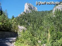 [P15] Cheile Bicazului - Piatra Altarului » foto by Lumis66
 - 
<span class="allrVoted glyphicon glyphicon-heart hidden" id="av248680"></span>
<a class="m-l-10 hidden" id="sv248680" onclick="voting_Foto_DelVot(,248680,3314)" role="button">șterge vot <span class="glyphicon glyphicon-remove"></span></a>
<a id="v9248680" class=" c-red"  onclick="voting_Foto_SetVot(248680)" role="button"><span class="glyphicon glyphicon-heart-empty"></span> <b>LIKE</b> = Votează poza</a> <img class="hidden"  id="f248680W9" src="/imagini/loader.gif" border="0" /><span class="AjErrMes hidden" id="e248680ErM"></span>