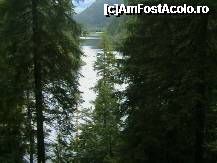 [P11] Lacu Rosu- Vedere printre brazi. » foto by sportiv
 - 
<span class="allrVoted glyphicon glyphicon-heart hidden" id="av191028"></span>
<a class="m-l-10 hidden" id="sv191028" onclick="voting_Foto_DelVot(,191028,3314)" role="button">șterge vot <span class="glyphicon glyphicon-remove"></span></a>
<a id="v9191028" class=" c-red"  onclick="voting_Foto_SetVot(191028)" role="button"><span class="glyphicon glyphicon-heart-empty"></span> <b>LIKE</b> = Votează poza</a> <img class="hidden"  id="f191028W9" src="/imagini/loader.gif" border="0" /><span class="AjErrMes hidden" id="e191028ErM"></span>