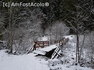 [P12] Podețul de la coada lacului este cam șubred. L-am traversat cu mare atenție. » foto by Floryn81
 - 
<span class="allrVoted glyphicon glyphicon-heart hidden" id="av1214399"></span>
<a class="m-l-10 hidden" id="sv1214399" onclick="voting_Foto_DelVot(,1214399,3314)" role="button">șterge vot <span class="glyphicon glyphicon-remove"></span></a>
<a id="v91214399" class=" c-red"  onclick="voting_Foto_SetVot(1214399)" role="button"><span class="glyphicon glyphicon-heart-empty"></span> <b>LIKE</b> = Votează poza</a> <img class="hidden"  id="f1214399W9" src="/imagini/loader.gif" border="0" /><span class="AjErrMes hidden" id="e1214399ErM"></span>