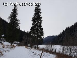 [P06] Am pornit la pas în jurul Lacului Roșu. » foto by Floryn81
 - 
<span class="allrVoted glyphicon glyphicon-heart hidden" id="av1214393"></span>
<a class="m-l-10 hidden" id="sv1214393" onclick="voting_Foto_DelVot(,1214393,3314)" role="button">șterge vot <span class="glyphicon glyphicon-remove"></span></a>
<a id="v91214393" class=" c-red"  onclick="voting_Foto_SetVot(1214393)" role="button"><span class="glyphicon glyphicon-heart-empty"></span> <b>LIKE</b> = Votează poza</a> <img class="hidden"  id="f1214393W9" src="/imagini/loader.gif" border="0" /><span class="AjErrMes hidden" id="e1214393ErM"></span>