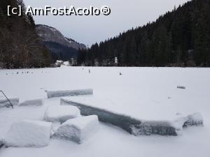 [P09] Se observă grosimea gheții de pe Lacul Roșu. » foto by Floryn81
 - 
<span class="allrVoted glyphicon glyphicon-heart hidden" id="av1214396"></span>
<a class="m-l-10 hidden" id="sv1214396" onclick="voting_Foto_DelVot(,1214396,3314)" role="button">șterge vot <span class="glyphicon glyphicon-remove"></span></a>
<a id="v91214396" class=" c-red"  onclick="voting_Foto_SetVot(1214396)" role="button"><span class="glyphicon glyphicon-heart-empty"></span> <b>LIKE</b> = Votează poza</a> <img class="hidden"  id="f1214396W9" src="/imagini/loader.gif" border="0" /><span class="AjErrMes hidden" id="e1214396ErM"></span>