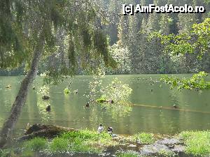 [P04]  -- <small>// FĂRĂ DESCRIERE</small> » foto by noi doi
 - 
<span class="allrVoted glyphicon glyphicon-heart hidden" id="av421632"></span>
<a class="m-l-10 hidden" id="sv421632" onclick="voting_Foto_DelVot(,421632,3314)" role="button">șterge vot <span class="glyphicon glyphicon-remove"></span></a>
<a id="v9421632" class=" c-red"  onclick="voting_Foto_SetVot(421632)" role="button"><span class="glyphicon glyphicon-heart-empty"></span> <b>LIKE</b> = Votează poza</a> <img class="hidden"  id="f421632W9" src="/imagini/loader.gif" border="0" /><span class="AjErrMes hidden" id="e421632ErM"></span>