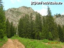 [P02] Pe poteca in excursie spre Suhard » foto by mcosmin
 - 
<span class="allrVoted glyphicon glyphicon-heart hidden" id="av221057"></span>
<a class="m-l-10 hidden" id="sv221057" onclick="voting_Foto_DelVot(,221057,3314)" role="button">șterge vot <span class="glyphicon glyphicon-remove"></span></a>
<a id="v9221057" class=" c-red"  onclick="voting_Foto_SetVot(221057)" role="button"><span class="glyphicon glyphicon-heart-empty"></span> <b>LIKE</b> = Votează poza</a> <img class="hidden"  id="f221057W9" src="/imagini/loader.gif" border="0" /><span class="AjErrMes hidden" id="e221057ErM"></span>