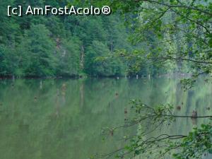 [P11] Lacul Rosu.  » foto by DanTal74
 - 
<span class="allrVoted glyphicon glyphicon-heart hidden" id="av826823"></span>
<a class="m-l-10 hidden" id="sv826823" onclick="voting_Foto_DelVot(,826823,3314)" role="button">șterge vot <span class="glyphicon glyphicon-remove"></span></a>
<a id="v9826823" class=" c-red"  onclick="voting_Foto_SetVot(826823)" role="button"><span class="glyphicon glyphicon-heart-empty"></span> <b>LIKE</b> = Votează poza</a> <img class="hidden"  id="f826823W9" src="/imagini/loader.gif" border="0" /><span class="AjErrMes hidden" id="e826823ErM"></span>
