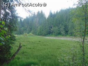[P12] Lacul Rosu.  » foto by DanTal74
 - 
<span class="allrVoted glyphicon glyphicon-heart hidden" id="av826824"></span>
<a class="m-l-10 hidden" id="sv826824" onclick="voting_Foto_DelVot(,826824,3314)" role="button">șterge vot <span class="glyphicon glyphicon-remove"></span></a>
<a id="v9826824" class=" c-red"  onclick="voting_Foto_SetVot(826824)" role="button"><span class="glyphicon glyphicon-heart-empty"></span> <b>LIKE</b> = Votează poza</a> <img class="hidden"  id="f826824W9" src="/imagini/loader.gif" border="0" /><span class="AjErrMes hidden" id="e826824ErM"></span>