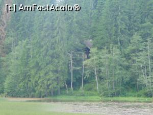 [P13] Pensiune langa lacul Rosu.  » foto by DanTal74
 - 
<span class="allrVoted glyphicon glyphicon-heart hidden" id="av826825"></span>
<a class="m-l-10 hidden" id="sv826825" onclick="voting_Foto_DelVot(,826825,3314)" role="button">șterge vot <span class="glyphicon glyphicon-remove"></span></a>
<a id="v9826825" class=" c-red"  onclick="voting_Foto_SetVot(826825)" role="button"><span class="glyphicon glyphicon-heart-empty"></span> <b>LIKE</b> = Votează poza</a> <img class="hidden"  id="f826825W9" src="/imagini/loader.gif" border="0" /><span class="AjErrMes hidden" id="e826825ErM"></span>
