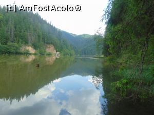 [P02] Lacul Rosu.  » foto by DanTal74
 - 
<span class="allrVoted glyphicon glyphicon-heart hidden" id="av826814"></span>
<a class="m-l-10 hidden" id="sv826814" onclick="voting_Foto_DelVot(,826814,3314)" role="button">șterge vot <span class="glyphicon glyphicon-remove"></span></a>
<a id="v9826814" class=" c-red"  onclick="voting_Foto_SetVot(826814)" role="button"><span class="glyphicon glyphicon-heart-empty"></span> <b>LIKE</b> = Votează poza</a> <img class="hidden"  id="f826814W9" src="/imagini/loader.gif" border="0" /><span class="AjErrMes hidden" id="e826814ErM"></span>