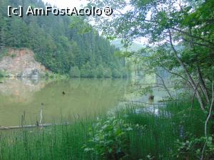 [P07] Lacul Rosu.  » foto by DanTal74
 - 
<span class="allrVoted glyphicon glyphicon-heart hidden" id="av826819"></span>
<a class="m-l-10 hidden" id="sv826819" onclick="voting_Foto_DelVot(,826819,3314)" role="button">șterge vot <span class="glyphicon glyphicon-remove"></span></a>
<a id="v9826819" class=" c-red"  onclick="voting_Foto_SetVot(826819)" role="button"><span class="glyphicon glyphicon-heart-empty"></span> <b>LIKE</b> = Votează poza</a> <img class="hidden"  id="f826819W9" src="/imagini/loader.gif" border="0" /><span class="AjErrMes hidden" id="e826819ErM"></span>