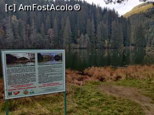 [P14] Lacul Roșu – Poteca Minunilor cu 9 puncte de observare, din Parcul Național Cheile Bicazului - Hășmaș » foto by Dana2008
 - 
<span class="allrVoted glyphicon glyphicon-heart hidden" id="av1201135"></span>
<a class="m-l-10 hidden" id="sv1201135" onclick="voting_Foto_DelVot(,1201135,3314)" role="button">șterge vot <span class="glyphicon glyphicon-remove"></span></a>
<a id="v91201135" class=" c-red"  onclick="voting_Foto_SetVot(1201135)" role="button"><span class="glyphicon glyphicon-heart-empty"></span> <b>LIKE</b> = Votează poza</a> <img class="hidden"  id="f1201135W9" src="/imagini/loader.gif" border="0" /><span class="AjErrMes hidden" id="e1201135ErM"></span>
