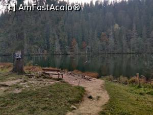 [P17] Lacul Roșu – Poteca Minunilor cu 9 puncte de observare, din Parcul Național Cheile Bicazului - Hășmaș » foto by Dana2008
 - 
<span class="allrVoted glyphicon glyphicon-heart hidden" id="av1201138"></span>
<a class="m-l-10 hidden" id="sv1201138" onclick="voting_Foto_DelVot(,1201138,3314)" role="button">șterge vot <span class="glyphicon glyphicon-remove"></span></a>
<a id="v91201138" class=" c-red"  onclick="voting_Foto_SetVot(1201138)" role="button"><span class="glyphicon glyphicon-heart-empty"></span> <b>LIKE</b> = Votează poza</a> <img class="hidden"  id="f1201138W9" src="/imagini/loader.gif" border="0" /><span class="AjErrMes hidden" id="e1201138ErM"></span>