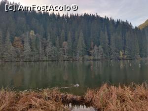 [P20] Lacul Roșu – Poteca Minunilor cu 9 puncte de observare, din Parcul Național Cheile Bicazului - Hășmaș » foto by Dana2008
 - 
<span class="allrVoted glyphicon glyphicon-heart hidden" id="av1201141"></span>
<a class="m-l-10 hidden" id="sv1201141" onclick="voting_Foto_DelVot(,1201141,3314)" role="button">șterge vot <span class="glyphicon glyphicon-remove"></span></a>
<a id="v91201141" class=" c-red"  onclick="voting_Foto_SetVot(1201141)" role="button"><span class="glyphicon glyphicon-heart-empty"></span> <b>LIKE</b> = Votează poza</a> <img class="hidden"  id="f1201141W9" src="/imagini/loader.gif" border="0" /><span class="AjErrMes hidden" id="e1201141ErM"></span>