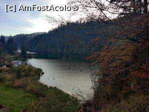 [P23] Lacul Roșu – Poteca Minunilor cu 9 puncte de observare, din Parcul Național Cheile Bicazului - Hășmaș » foto by Dana2008
 - 
<span class="allrVoted glyphicon glyphicon-heart hidden" id="av1201144"></span>
<a class="m-l-10 hidden" id="sv1201144" onclick="voting_Foto_DelVot(,1201144,3314)" role="button">șterge vot <span class="glyphicon glyphicon-remove"></span></a>
<a id="v91201144" class=" c-red"  onclick="voting_Foto_SetVot(1201144)" role="button"><span class="glyphicon glyphicon-heart-empty"></span> <b>LIKE</b> = Votează poza</a> <img class="hidden"  id="f1201144W9" src="/imagini/loader.gif" border="0" /><span class="AjErrMes hidden" id="e1201144ErM"></span>