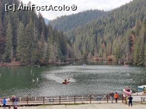 [P27] Lacul Roșu – Poteca Minunilor cu 9 puncte de observare, din Parcul Național Cheile Bicazului - Hășmaș » foto by Dana2008
 - 
<span class="allrVoted glyphicon glyphicon-heart hidden" id="av1201148"></span>
<a class="m-l-10 hidden" id="sv1201148" onclick="voting_Foto_DelVot(,1201148,3314)" role="button">șterge vot <span class="glyphicon glyphicon-remove"></span></a>
<a id="v91201148" class=" c-red"  onclick="voting_Foto_SetVot(1201148)" role="button"><span class="glyphicon glyphicon-heart-empty"></span> <b>LIKE</b> = Votează poza</a> <img class="hidden"  id="f1201148W9" src="/imagini/loader.gif" border="0" /><span class="AjErrMes hidden" id="e1201148ErM"></span>