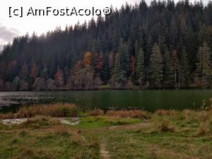 [P29] Lacul Roșu – Poteca Minunilor cu 9 puncte de observare, din Parcul Național Cheile Bicazului - Hășmaș » foto by Dana2008
 - 
<span class="allrVoted glyphicon glyphicon-heart hidden" id="av1201150"></span>
<a class="m-l-10 hidden" id="sv1201150" onclick="voting_Foto_DelVot(,1201150,3314)" role="button">șterge vot <span class="glyphicon glyphicon-remove"></span></a>
<a id="v91201150" class=" c-red"  onclick="voting_Foto_SetVot(1201150)" role="button"><span class="glyphicon glyphicon-heart-empty"></span> <b>LIKE</b> = Votează poza</a> <img class="hidden"  id="f1201150W9" src="/imagini/loader.gif" border="0" /><span class="AjErrMes hidden" id="e1201150ErM"></span>