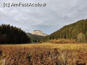 [P32] Lacul Roșu – Poteca Minunilor cu 9 puncte de observare, din Parcul Național Cheile Bicazului - Hășmaș

Hășmașu Mic » foto by Dana2008
 - 
<span class="allrVoted glyphicon glyphicon-heart hidden" id="av1201153"></span>
<a class="m-l-10 hidden" id="sv1201153" onclick="voting_Foto_DelVot(,1201153,3314)" role="button">șterge vot <span class="glyphicon glyphicon-remove"></span></a>
<a id="v91201153" class=" c-red"  onclick="voting_Foto_SetVot(1201153)" role="button"><span class="glyphicon glyphicon-heart-empty"></span> <b>LIKE</b> = Votează poza</a> <img class="hidden"  id="f1201153W9" src="/imagini/loader.gif" border="0" /><span class="AjErrMes hidden" id="e1201153ErM"></span>