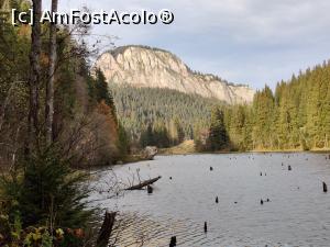 [P33] Lacul Roșu – Poteca Minunilor cu 9 puncte de observare, din Parcul Național Cheile Bicazului - Hășmaș

Hășmașu Mic » foto by Dana2008
 - 
<span class="allrVoted glyphicon glyphicon-heart hidden" id="av1201154"></span>
<a class="m-l-10 hidden" id="sv1201154" onclick="voting_Foto_DelVot(,1201154,3314)" role="button">șterge vot <span class="glyphicon glyphicon-remove"></span></a>
<a id="v91201154" class=" c-red"  onclick="voting_Foto_SetVot(1201154)" role="button"><span class="glyphicon glyphicon-heart-empty"></span> <b>LIKE</b> = Votează poza</a> <img class="hidden"  id="f1201154W9" src="/imagini/loader.gif" border="0" /><span class="AjErrMes hidden" id="e1201154ErM"></span>