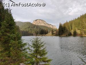 [P35] Lacul Roșu – Poteca Minunilor cu 9 puncte de observare, din Parcul Național Cheile Bicazului - Hășmaș

Hășmașu Mic » foto by Dana2008
 - 
<span class="allrVoted glyphicon glyphicon-heart hidden" id="av1201156"></span>
<a class="m-l-10 hidden" id="sv1201156" onclick="voting_Foto_DelVot(,1201156,3314)" role="button">șterge vot <span class="glyphicon glyphicon-remove"></span></a>
<a id="v91201156" class=" c-red"  onclick="voting_Foto_SetVot(1201156)" role="button"><span class="glyphicon glyphicon-heart-empty"></span> <b>LIKE</b> = Votează poza</a> <img class="hidden"  id="f1201156W9" src="/imagini/loader.gif" border="0" /><span class="AjErrMes hidden" id="e1201156ErM"></span>