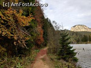 [P36] Lacul Roșu – Poteca Minunilor cu 9 puncte de observare, din Parcul Național Cheile Bicazului - Hășmaș

Hășmașu Mic » foto by Dana2008
 - 
<span class="allrVoted glyphicon glyphicon-heart hidden" id="av1201157"></span>
<a class="m-l-10 hidden" id="sv1201157" onclick="voting_Foto_DelVot(,1201157,3314)" role="button">șterge vot <span class="glyphicon glyphicon-remove"></span></a>
<a id="v91201157" class=" c-red"  onclick="voting_Foto_SetVot(1201157)" role="button"><span class="glyphicon glyphicon-heart-empty"></span> <b>LIKE</b> = Votează poza</a> <img class="hidden"  id="f1201157W9" src="/imagini/loader.gif" border="0" /><span class="AjErrMes hidden" id="e1201157ErM"></span>