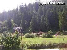 [P19] Lacul Rosu - un peisaj de vis la iesirea din statiune » foto by biancuta
 - 
<span class="allrVoted glyphicon glyphicon-heart hidden" id="av128828"></span>
<a class="m-l-10 hidden" id="sv128828" onclick="voting_Foto_DelVot(,128828,3314)" role="button">șterge vot <span class="glyphicon glyphicon-remove"></span></a>
<a id="v9128828" class=" c-red"  onclick="voting_Foto_SetVot(128828)" role="button"><span class="glyphicon glyphicon-heart-empty"></span> <b>LIKE</b> = Votează poza</a> <img class="hidden"  id="f128828W9" src="/imagini/loader.gif" border="0" /><span class="AjErrMes hidden" id="e128828ErM"></span>